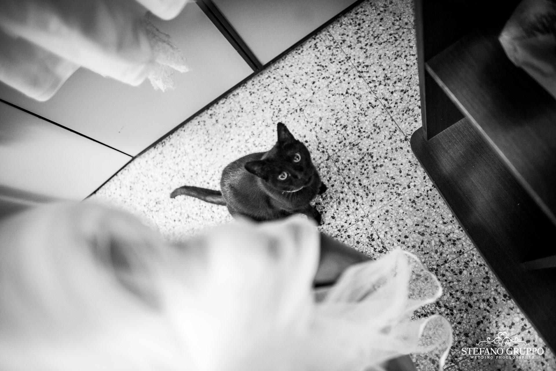 foto di �Stefano Gruppo