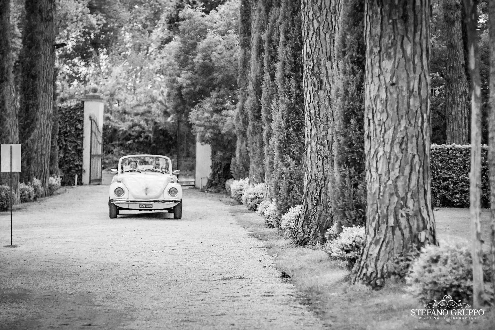 foto di �Stefano Gruppo